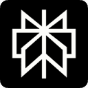 Logo de Perplexity